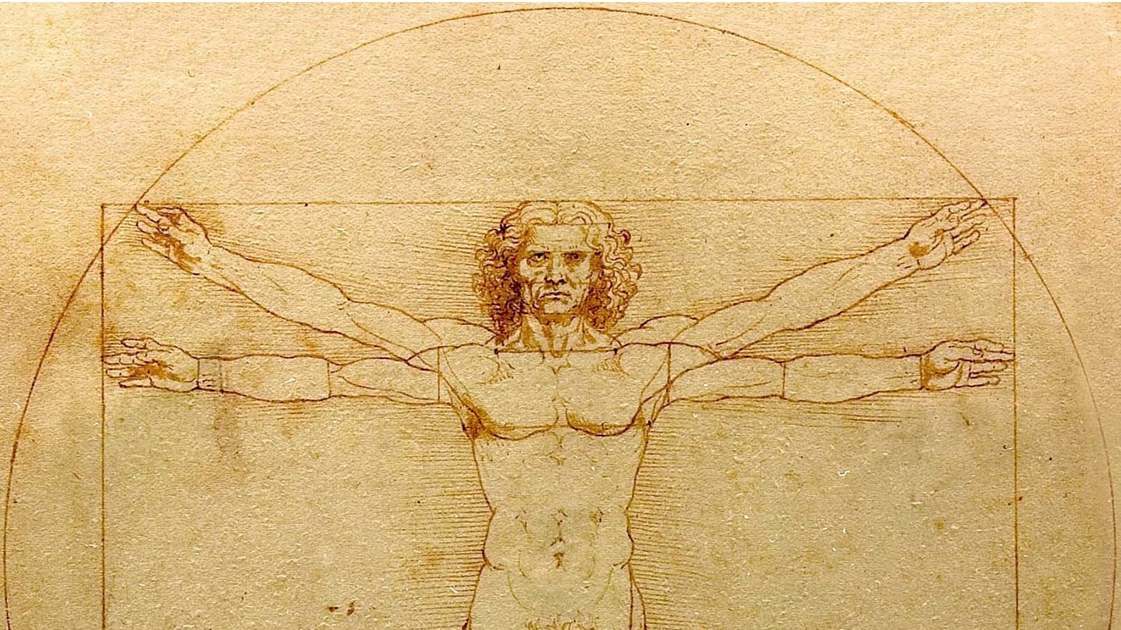 vitruvean man da Vinci